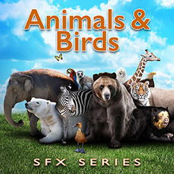 Animals & Birds SFX Series | Sound Effects Libraries Categories | Sound Ideas Animals & Birds SFX Series | Sound Effects Libraries Categories | Sound Ideas