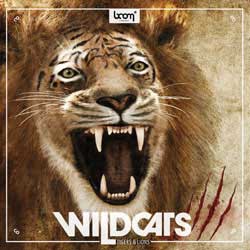 Wildcats by Boom | Lions & Tigers Sound Effects Library | Sound Effects Libraries Categories | Sound Ideas Wildcats by Boom | Lions & Tigers Sound Effects Library | Sound Effects Libraries Categories | Sound Ideas