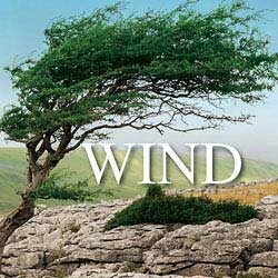 Wind Blowing Sound Effects | Sound Effects Libraries ...